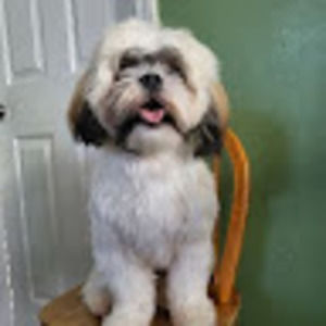 Meet your Posher, Escobar